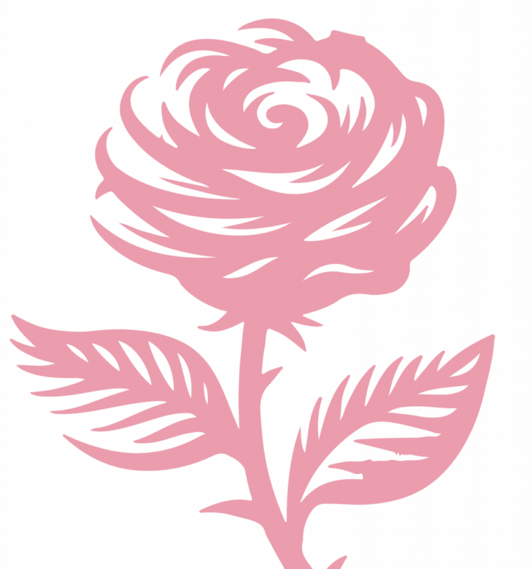 SCHADS Award Changes 2026 | The BelRose Group