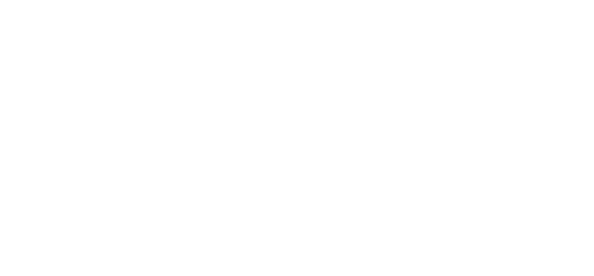 Tasmania Fire Service logo